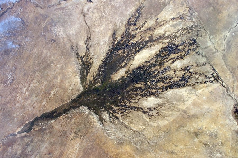 Luftaufnahme des Okavango-Deltas in Botswana mit verzweigten Wasserläufen und grünen Feuchtgebieten